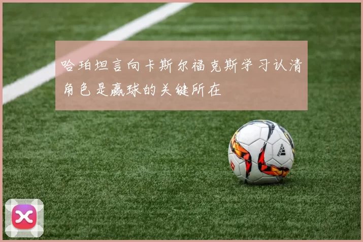 哈珀坦言向卡斯尔福克斯学习认清角色是赢球的关键所在