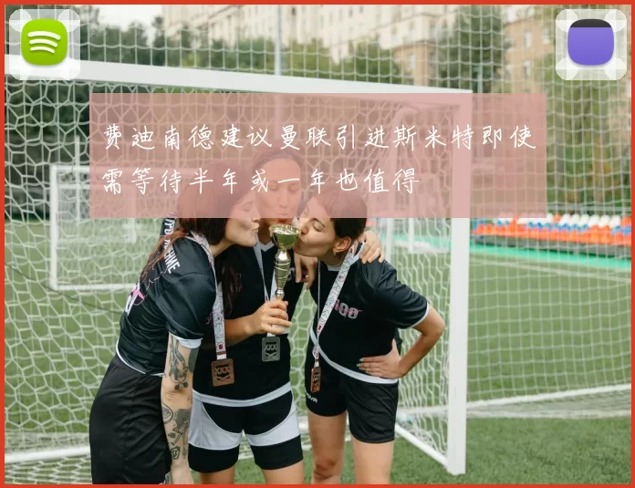 费迪南德建议曼联引进斯米特即使需等待半年或一年也值得